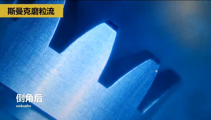 精密小齒輪拋光去毛刺，0.9-1.8秒一個！